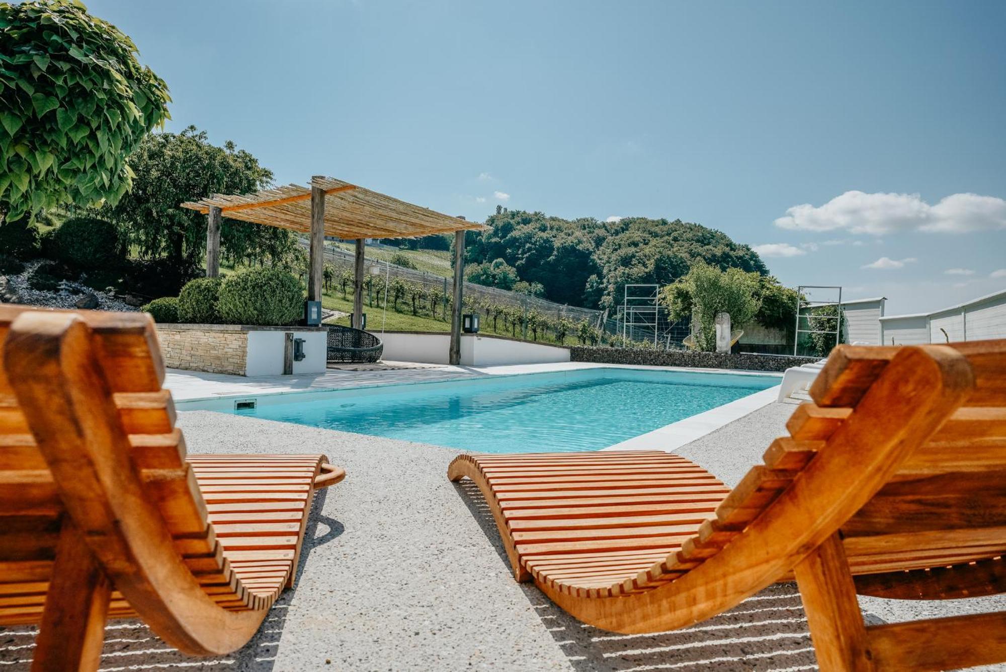 Weingut Holler Chalet Weingarten シュピールフェルト エクステリア 写真